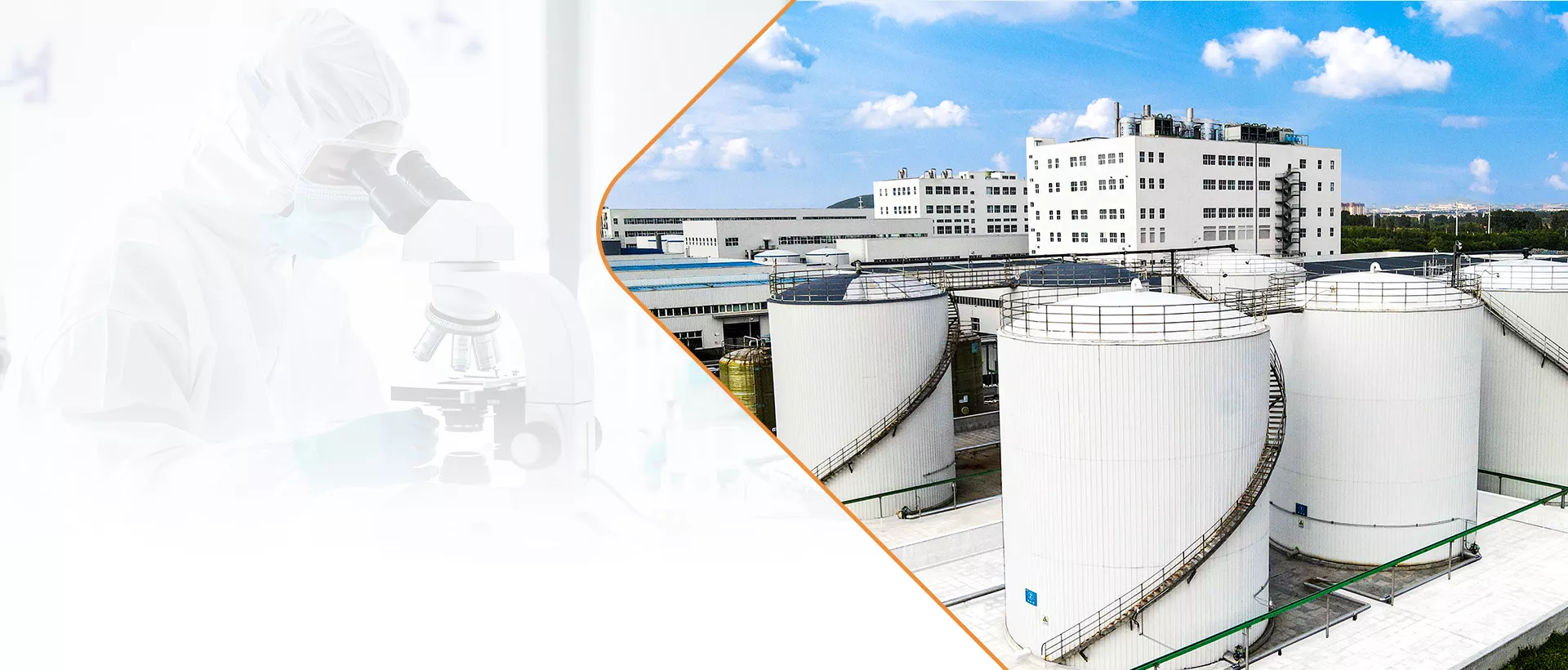 Citric Acid